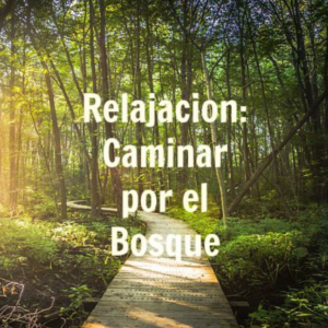 Relajacion: Caminar por el Bosque